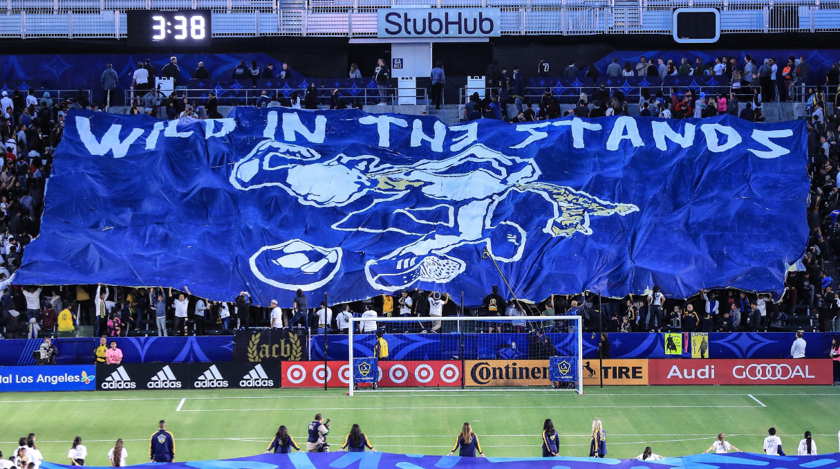 LA Galaxy tifo